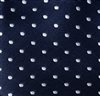 Blue Boy's Tie with Dots