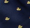 Blue Boy's Tie with Ducks