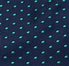Blue Boy's Tie with Dots