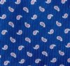 Boy's Royal Blue Tie