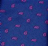 Royal Blue with Paisley Boy's Tie