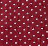 Boy's Tie with Dots