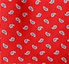 Red Boy's Tie