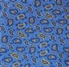 Royal Blue Boy's Tie Silk with Paisley