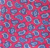 Red Boy's Tie Silk with Paisley