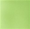 Green Boy's Tie