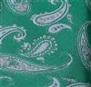 Green Boy's Tie