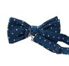 Blue Bow Tie with Dots