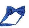 Blue bow tie with royal blue paisley reverse