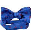Royal blue bow tie with red skulls reverse