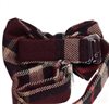 Baby's Bow tie