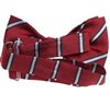 Garnet Silk Baby's Bow Tie