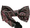 Baby's Bow Tie