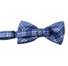 Blue checked bow tie reverse