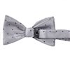 Grey Bow Tie with Blue Dots Reverse