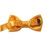 Boy's Yellow Bow Tie