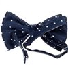 Boy's Blue Bow Tie