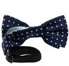 Boy's Blue Bow Tie