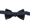 Boy's Blue Bow Tie