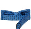 Boy's Bow Tie