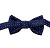 Boy's Royal Blue Bow Tie