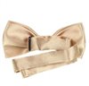 Boy's Beige Bow Tie