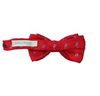 Bordeaux Bow Tie with Skulls