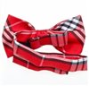 Boy's Plaid Bow Tie