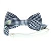 Boy's Vichy Checked Bow Tie
