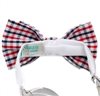 Boy's Vichy Checked Bow Tie