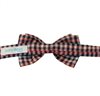 Boy's Checked Vichy Bow Tie