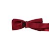 Boy's Garnet Esmoquin Bow Tie