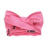 Boy's Fuchsia Bow Tie