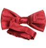 Boy's Garnet Bow Tie
