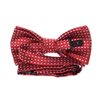 Boy's Garnet Bow Tie