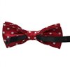 Boy's Garnet Bow Tie
