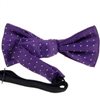 Boy's Purple Bow Tie
