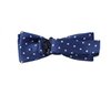 Boy's Royal Blue Bow Tie