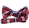 Boy's Stripes Bow Tie
