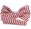 Boy's Stripes Bow Tie