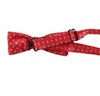 Boy's Bow Tie