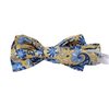 Boy's Yellow Silk Bow Tie