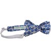 Boy's Silk Bow Tie