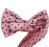 Boy's Silk Checked Bow Tie