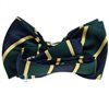 Boy's Silk Stripes Bow Tie