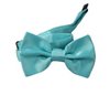 Boy's Turquoise Bow Tie