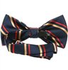 Stripes Bow Tie