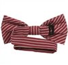 Stripes Bow Tie