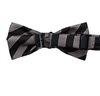 Stripes Bow Tie