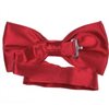 Red Strawberry Bow Tie Reverse